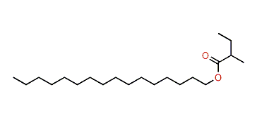 Hexadecyl-2-methylbutanoate